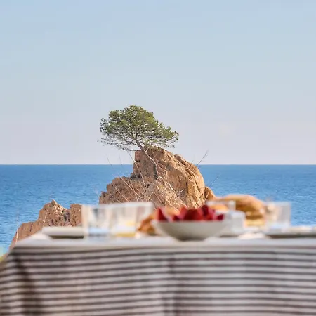 Lets Holidays Garden House In Front Of The