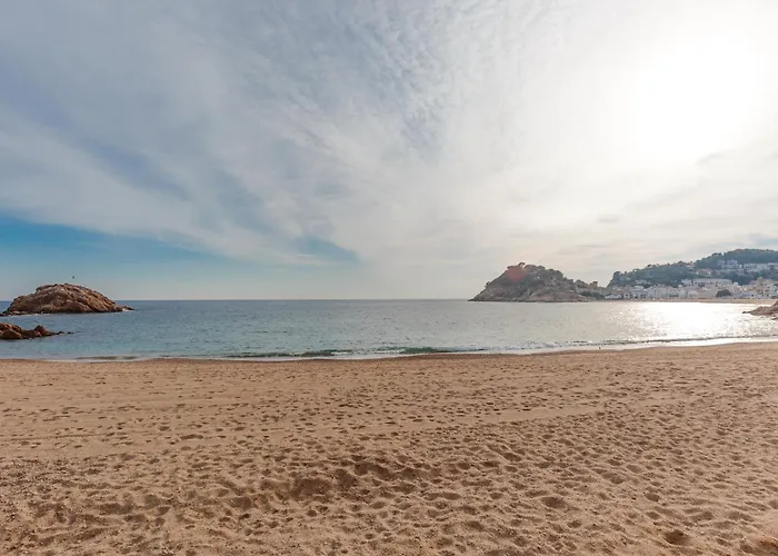 Lets Holidays Garden House In Front Of The *