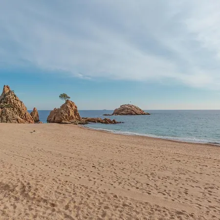 Lets Holidays Garden House In Front Of The Appartement *