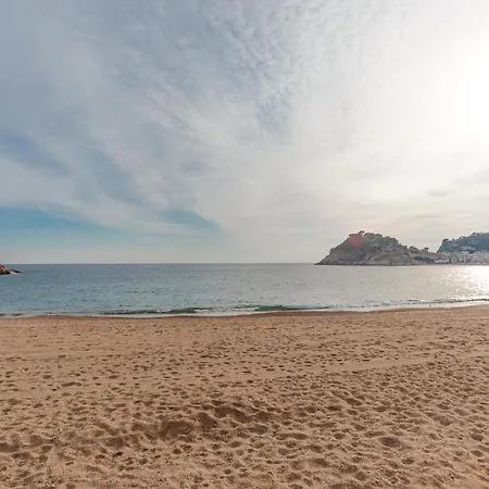 Lets Holidays Garden House In Front Of The *