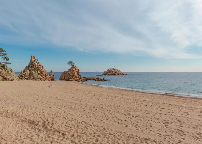 Lets Holidays Garden House In Front Of The Apartment *