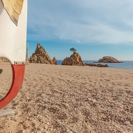 Appartement Lets Holidays Garden House In Front Of The