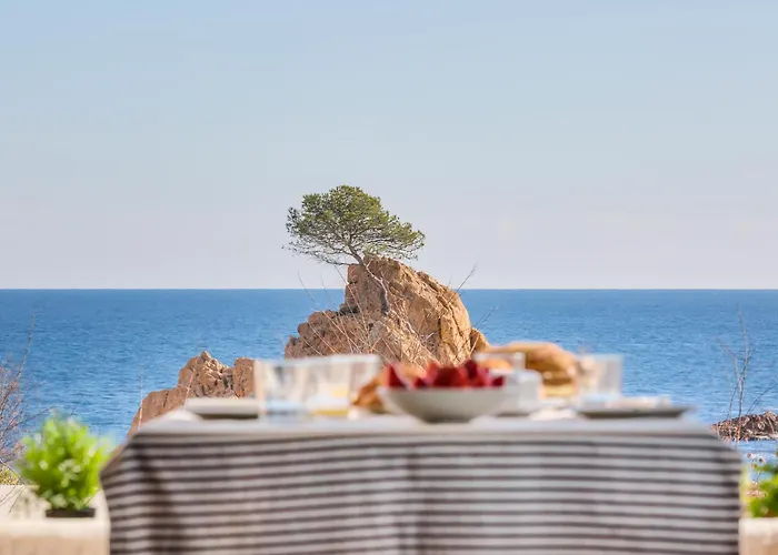 Lets Holidays Garden House In Front Of The